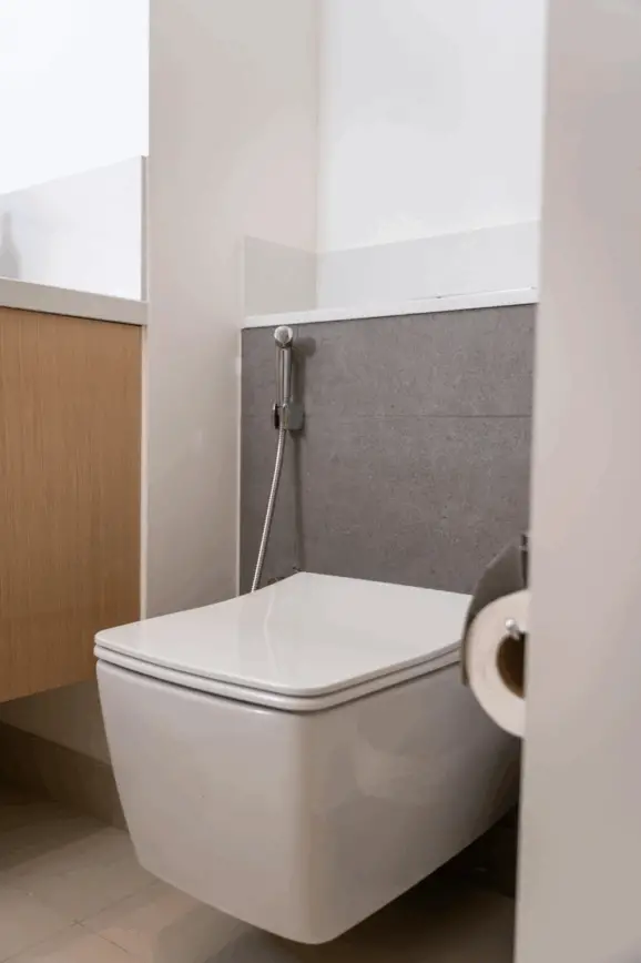 bidet pros and cons